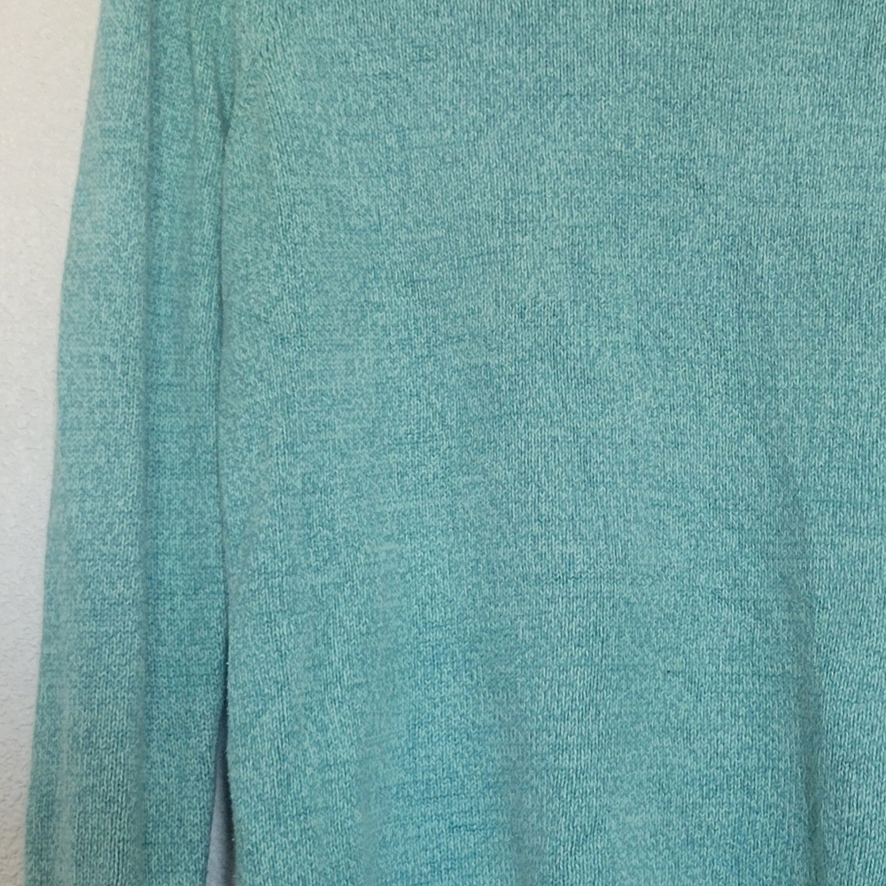 Pretty Blue 🐢 🐢 🐢 - Picture 2 of 6